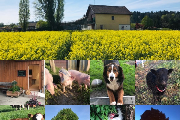 CF8D65D1 122F 491F 977B DF04E6166D84